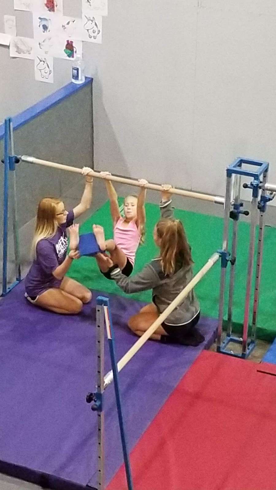 Meks Gymnastic Academy | 1735 W 53rd St, Anderson, IN 46013, USA | Phone: (765) 400-2220