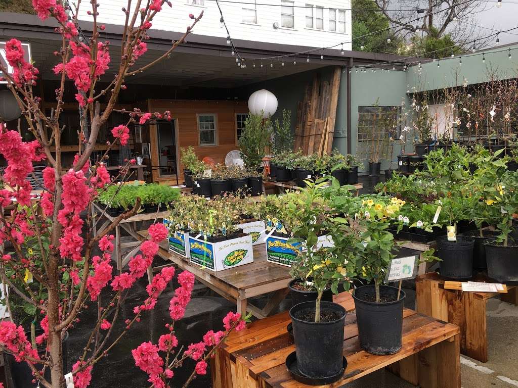 Fig Earth Supply 3577 N Figueroa St, Los Angeles, CA 90065