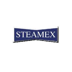 Steamex Carpet & Tile Cleaning | 2346 E Devonshire Ave, Phoenix, AZ 85016, USA | Phone: (480) 839-3320