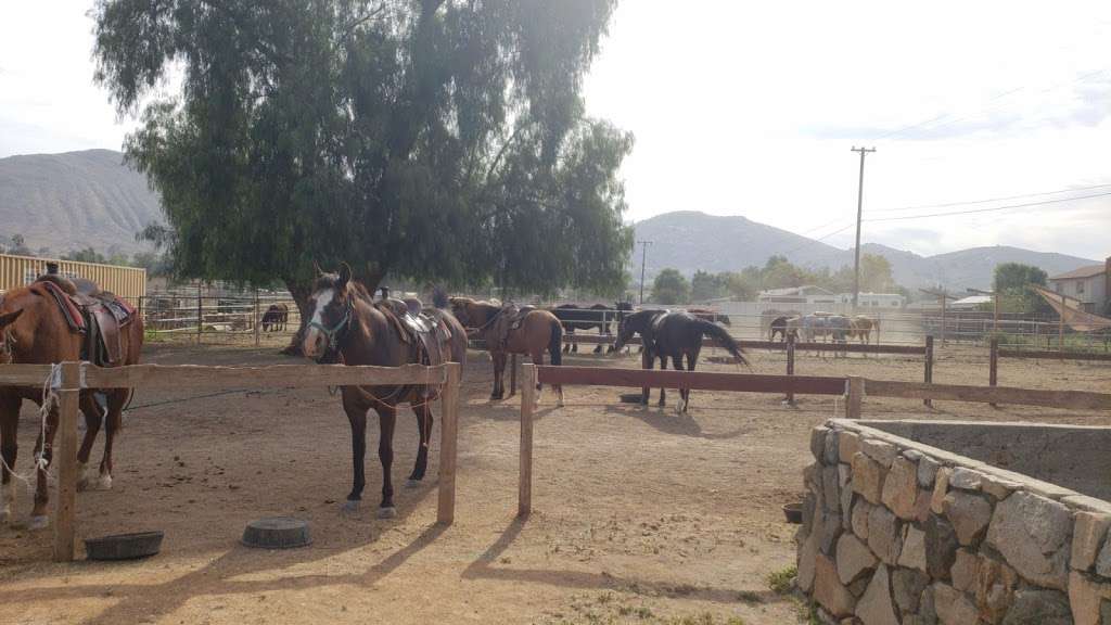 Western Trails Horseback Riding - travel agency  | Photo 9 of 10 | Address: 4103 Pedley Ave, Norco, CA 92860, USA | Phone: (951) 403-1290
