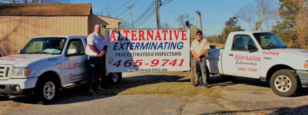 Alternative Exterminating I Pest Control Service, Exterminator S | 132 Rte 47 S, Cape May Court House, NJ 08210 | Phone: (609) 465-9741