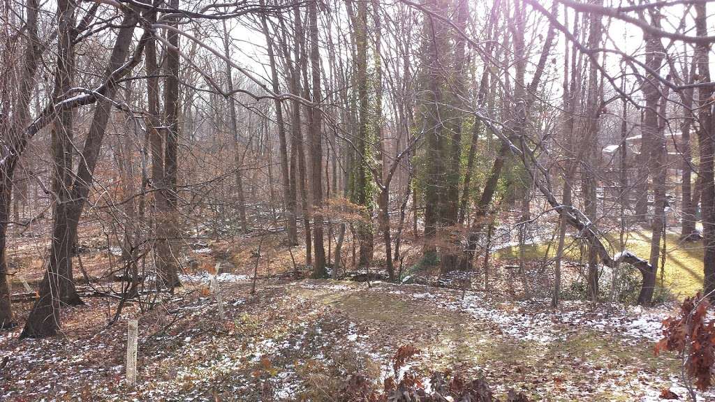 Luria Park | 7624 Holmes Run Dr, Falls Church, VA 22042, USA