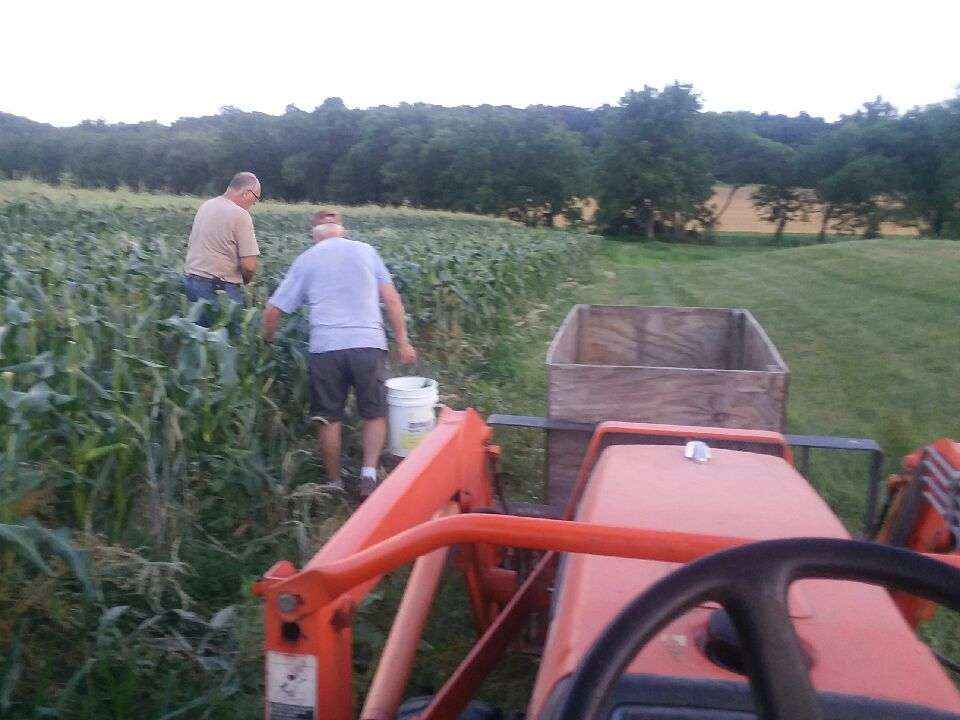 Kings Sweet Corn & Produce | 2849 Lower Valley Rd, Parkesburg, Parkesburg, PA 19365, USA | Phone: (610) 593-2915