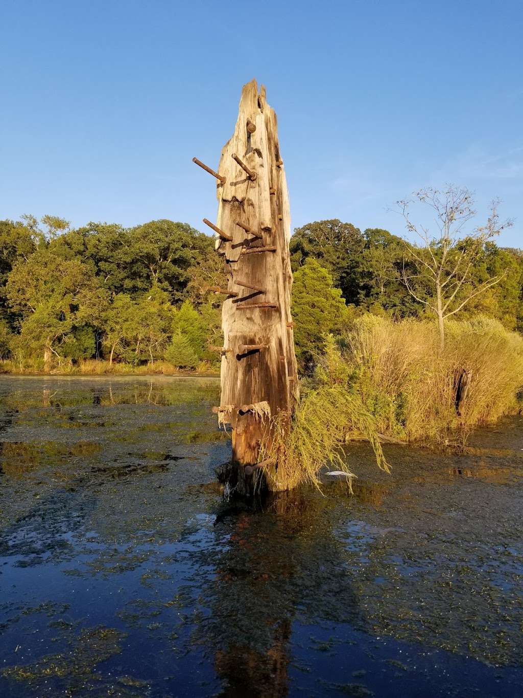 Mallows Bay Park | Nanjemoy, MD 20662, USA