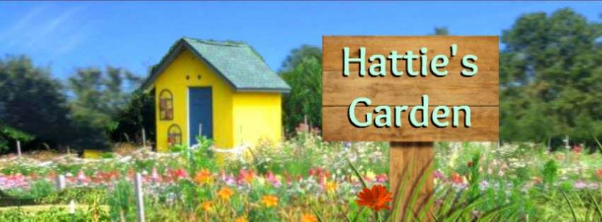 Hatties Garden | 31341 Kendale Rd, Lewes, DE 19958, USA | Phone: (302) 945-0350