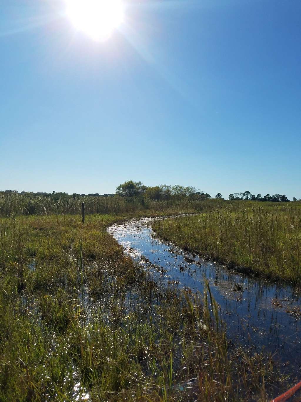 Johns Lake Conservation Area | 880 Avalon Rd, Winter Garden, FL 34787