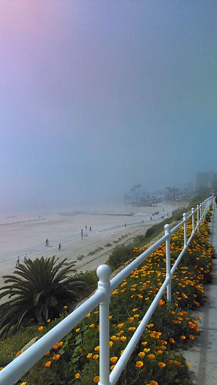 Ocean & Temple SE | Long Beach, CA 90803, USA