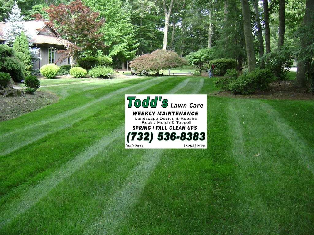 Todds Lawn Care, LLC | 9 Bruce Rd, Morganville, NJ 07751 | Phone: (732) 536-8383