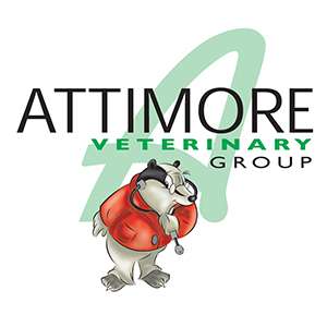 Attimore Veterinary Group | 4 Castle Rise, St Albans AL4 8HX, UK | Phone: 01582 766669