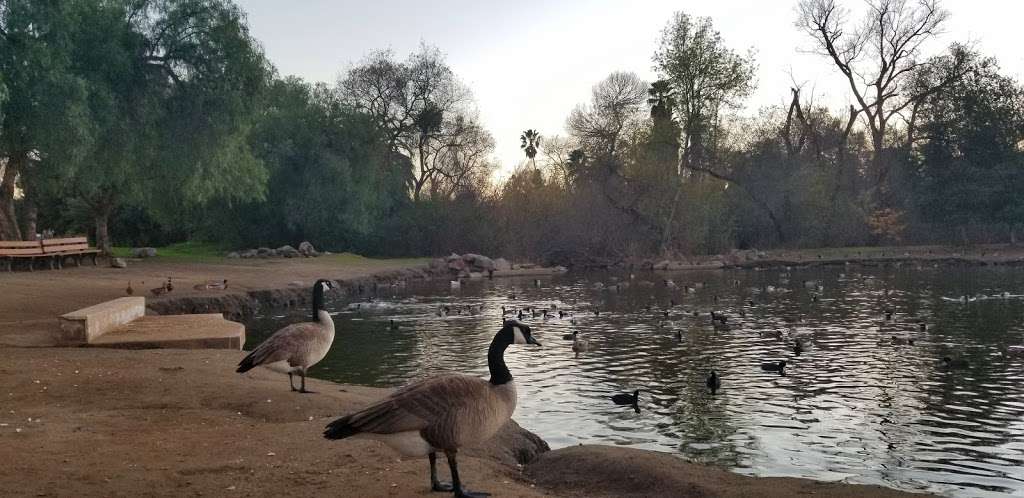 Duck Pond | Escondido, CA 92025, USA