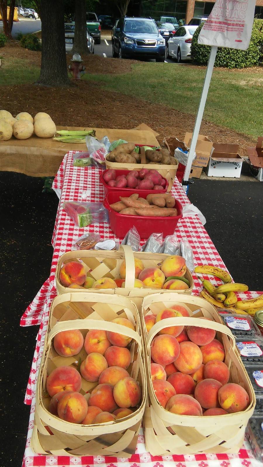 Balls Berries and Produce | 5204 Rock Service Station Rd, Raleigh, NC 27603, USA | Phone: (919) 772-6021