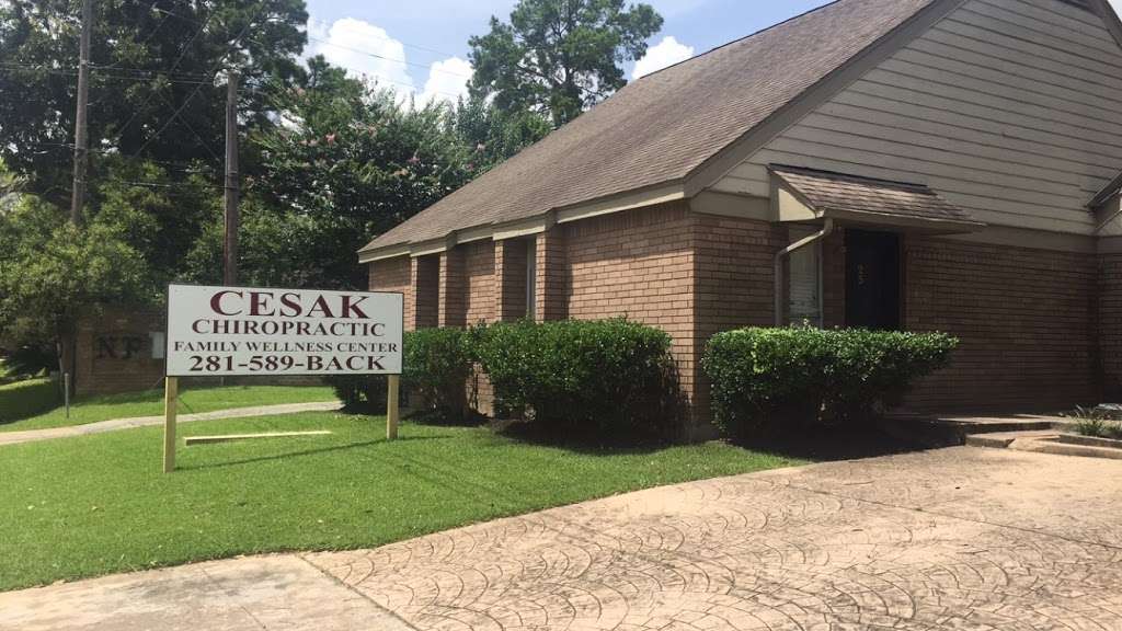 Cesak Chiropractic Family Wellness Center | 14441 Memorial Dr #24, Houston, TX 77079, USA | Phone: (281) 589-2225