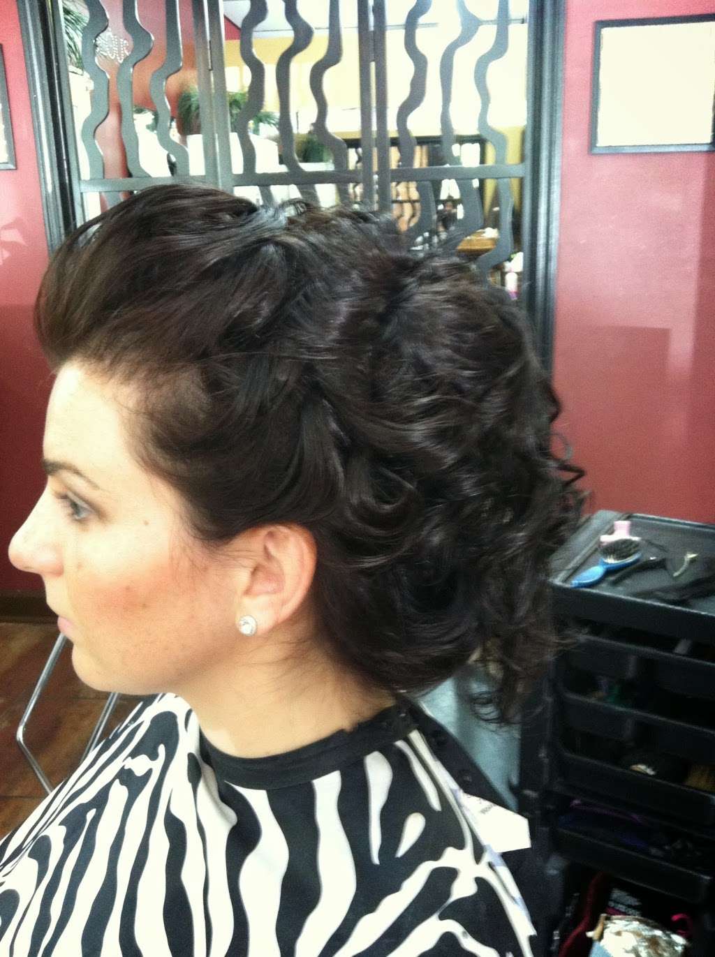 Dana Cirock Hair Designs | 570 N Schmale Rd, Carol Stream, IL 60188, USA | Phone: (630) 890-0777