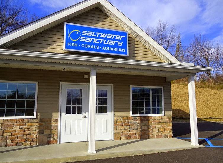 Saltwater Sanctuary | 657 Morganza Rd, Canonsburg, PA 15317 | Phone: (412) 223-6065