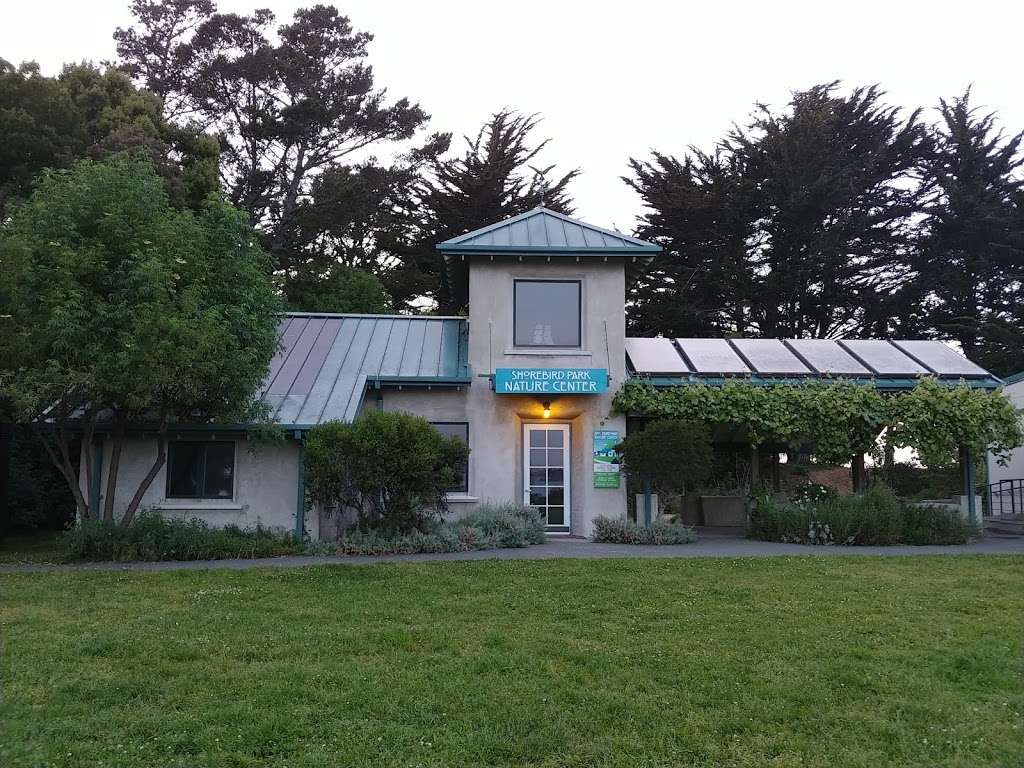Shorebird Park Nature Center | 160 University Ave, Berkeley, CA 94710, USA | Phone: (510) 981-6720