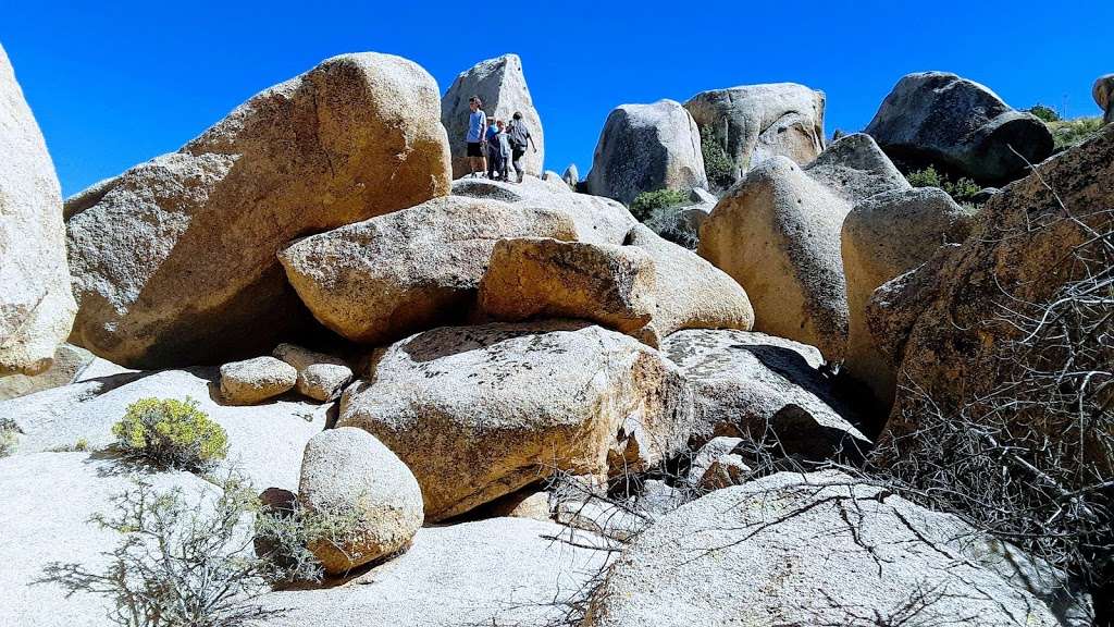 Bobcat Hollow Wildlife Reserve | Apple Valley, CA 92308, USA