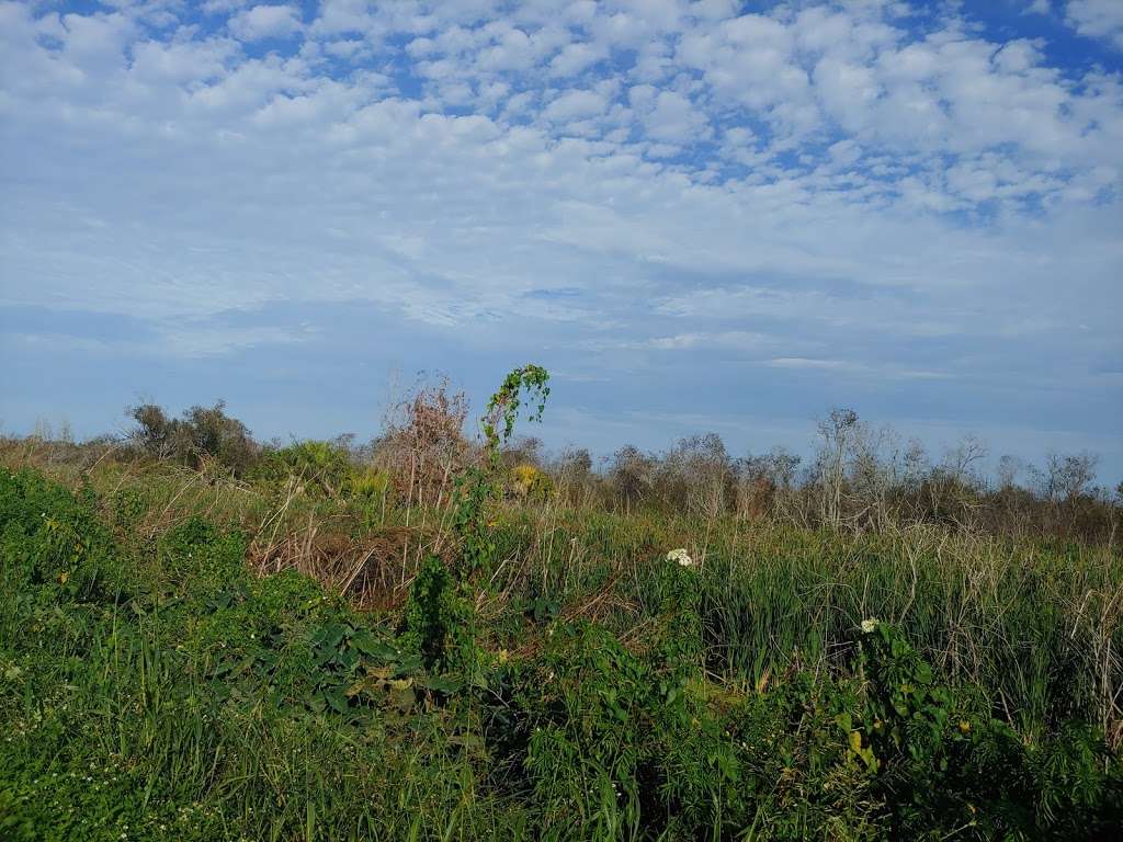 Florida Fish Guide/ Nature Tours | Magnolia Park Boat Ramp, Apopka, FL 32703, USA | Phone: (321) 363-6550