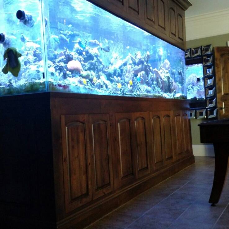 Aquarium Guy LLC | 1421 Hess Ln, Louisville, KY 40217, USA | Phone: (502) 548-8660