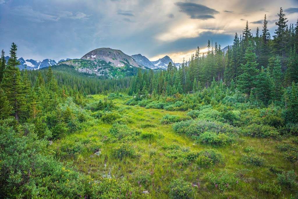 Mitchell Lake Trailhead | Forest Rd 1122C, Ward, CO 80481