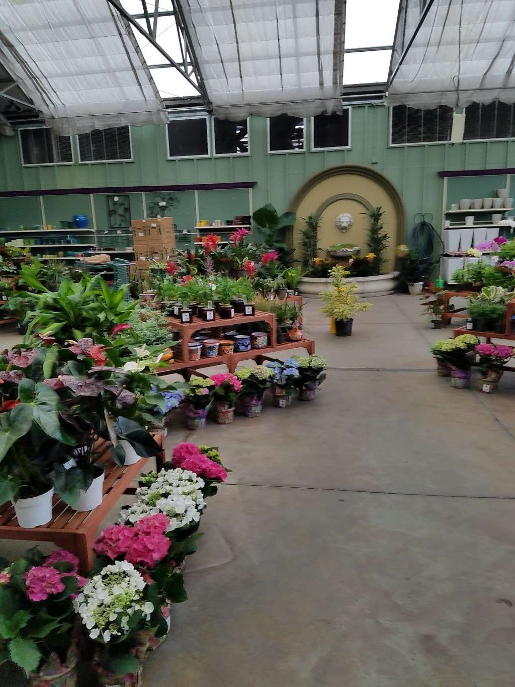 Sloat Garden Center | 2895 Contra Costa Blvd, Pleasant Hill, CA 94523, USA | Phone: (925) 939-9000