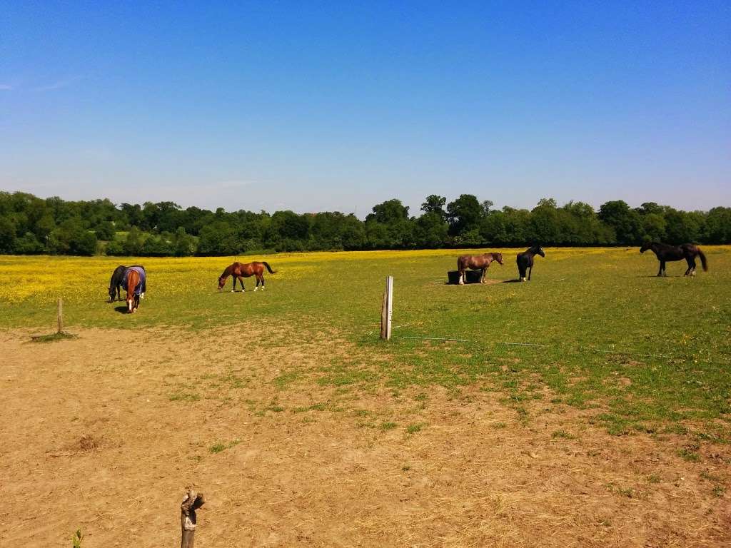 Scadbury Park Nature Reserve | 30 Old Perry St, Chislehurst BR7 6PT, UK | Phone: 0300 303 8658