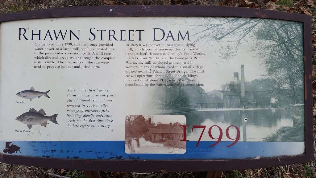 Rhawn Street Dam | Philadelphia, PA 19136