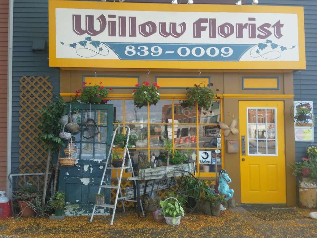 Willow Florists | 8695 Archer Ave # 24, Willow Springs, IL 60480, USA | Phone: (708) 839-0009