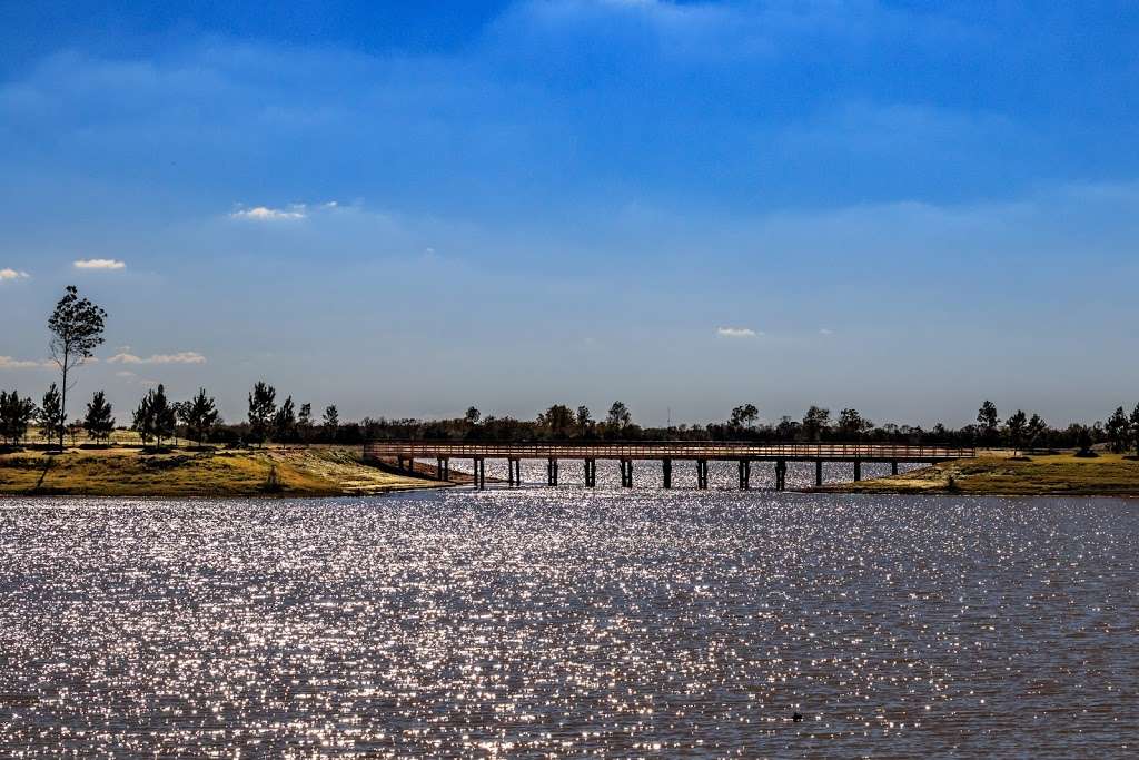 water haven park bridgeland