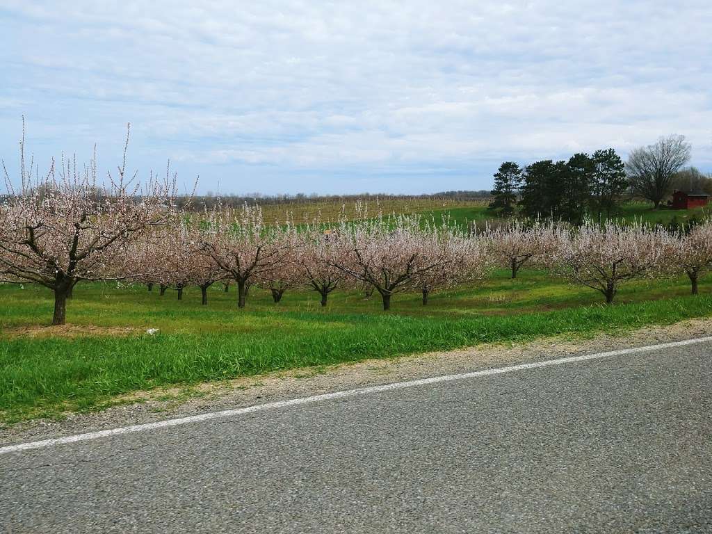 Wild Coyote Organic Farm | 2224 E Lemon Creek Rd, Berrien Springs, MI 49103 | Phone: (269) 277-3621