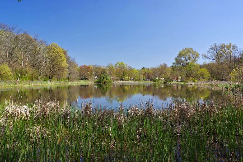 University Hills Duck Pond Park | 3400 Stanford St, Hyattsville, MD 20783, USA | Phone: (301) 985-5020