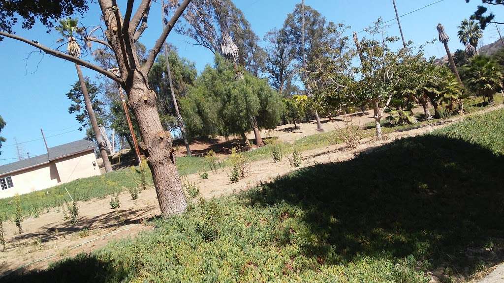 Hampton Canyon Ranch | 3739 Wheeler Canyon Rd, Santa Paula, CA 93060, USA