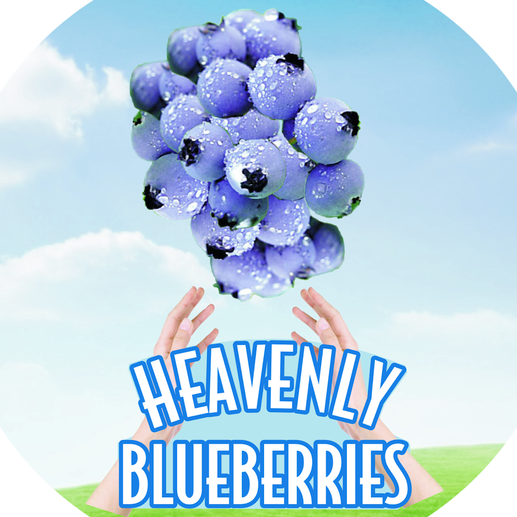 Far Reach Ranch - U-Pick Heavenly Blueberries | 1255 S Dora Blvd, Tavares, FL 32778, USA | Phone: (352) 343-7389