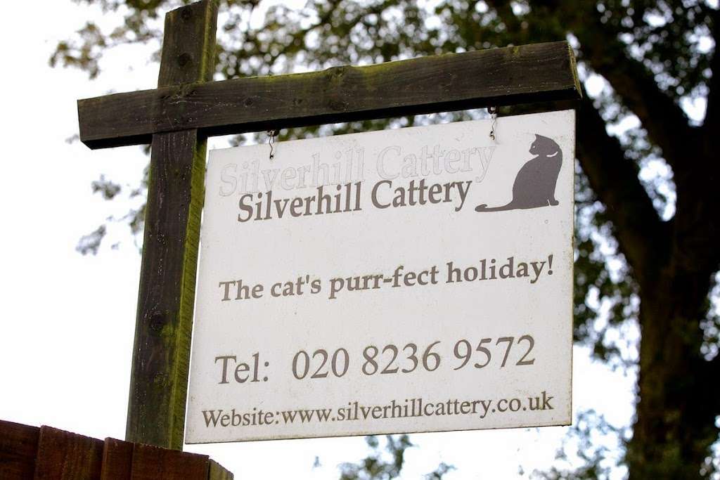 Silverhill Cattery | Silver Hill, Shenley, Borehamwood WD6 5PW, UK | Phone: 020 8236 9572