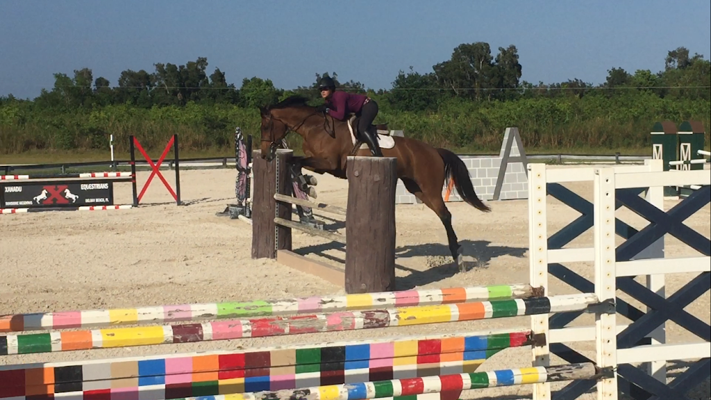 Equines & Equestrians, Inc. | 16528 Winners Cir # 6, Delray Beach, FL 33446 | Phone: (954) 650-4324