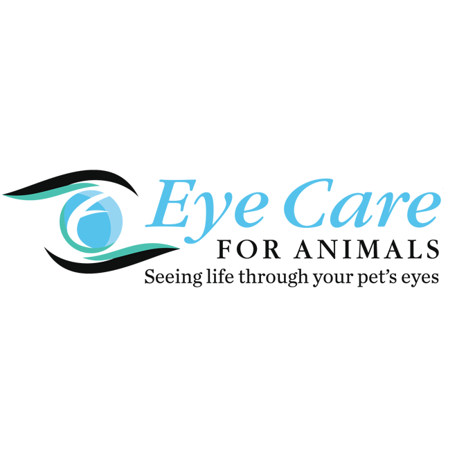 Eye Care for Animals | 6000 Northern Pass Dr Building D - Suite A, El Paso, TX 79911, USA | Phone: (915) 701-2661