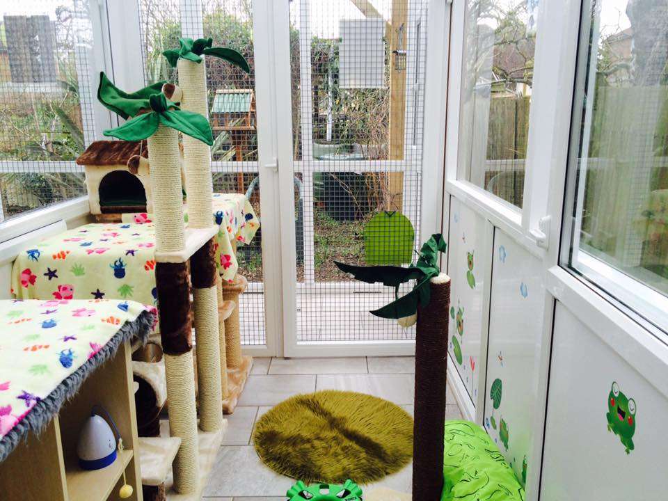 Anastasias Cat Hotel | White Cottage, Pasture Lane, Breachwood Green, Hitchin SG4 8NR, UK | Phone: 07542 595295