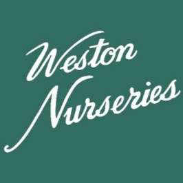 Weston Wholesale | 160 Pine Hill Rd, Chelmsford, MA 01824, USA | Phone: (978) 349-0055