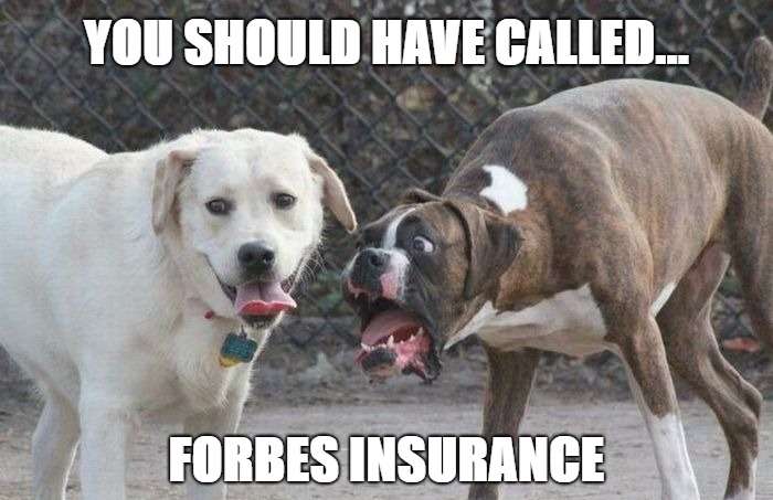 Forbes Insurance Agency | 3605 Main St, Morgantown, PA 19543 | Phone: (610) 913-1501