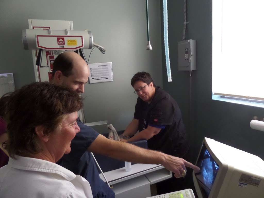 Brazos Bend Animal Hospital | 3361 721, Farm to Market 359, Richmond, TX 77406, USA | Phone: (281) 342-1117