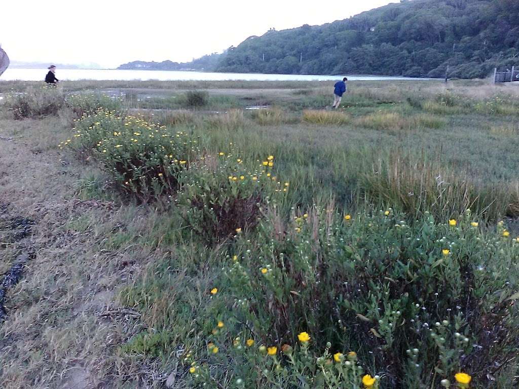 Dancing Coyote Beach Cottages | 12794 Sir Francis Drake Blvd, Inverness, CA 94937, USA | Phone: (415) 669-7200