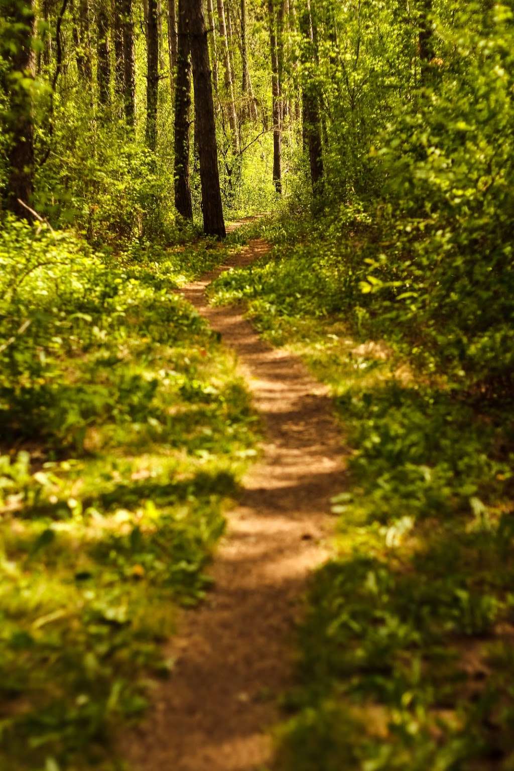 Bald Bluff Nature Trail | Co Rd H, Palmyra, WI 53156, USA | Phone: (262) 594-6200