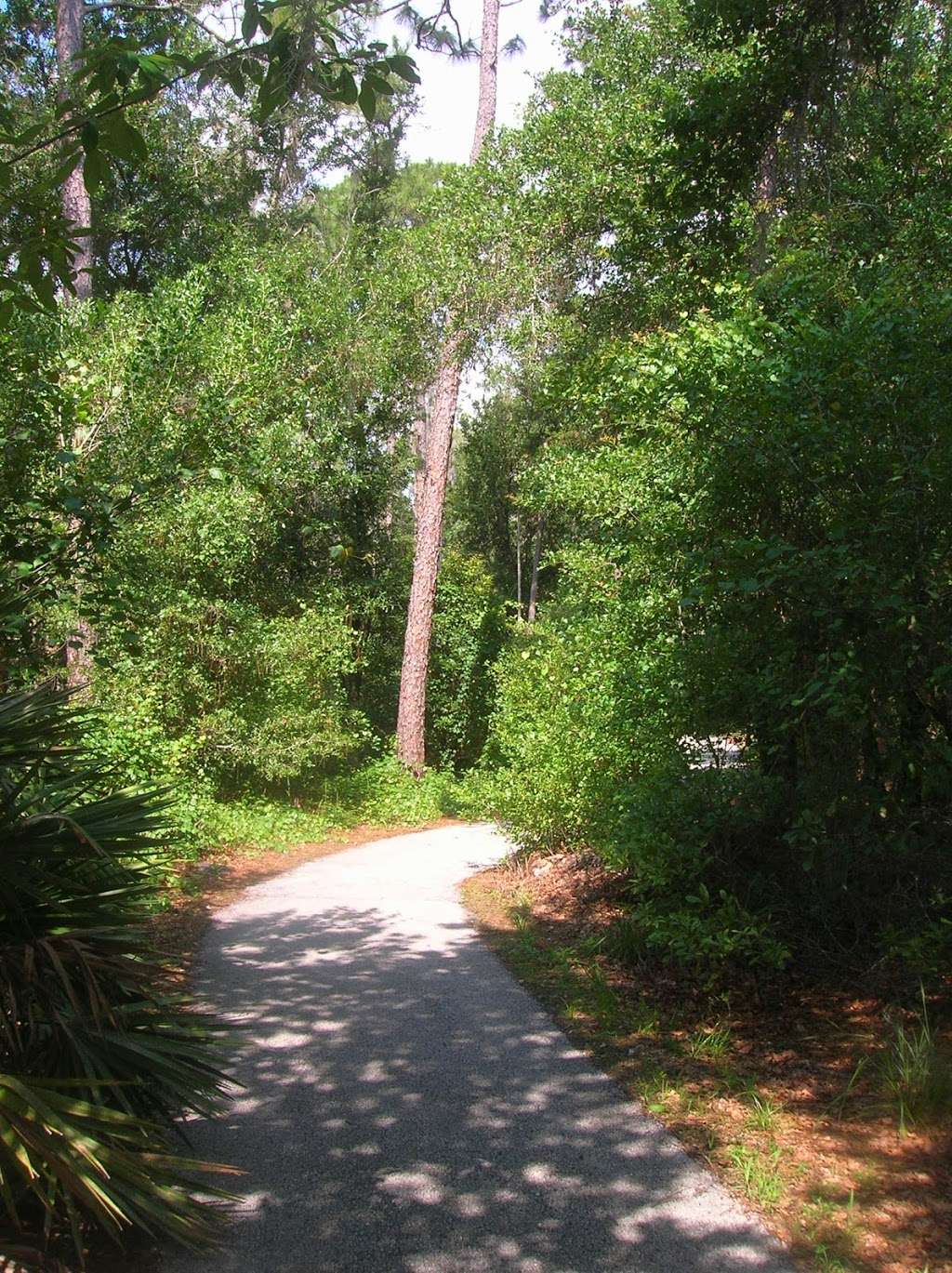 Gator Creek Reserve | 9725 US Hwy 98 N, Lakeland, FL 33809 | Phone: (863) 534-7377