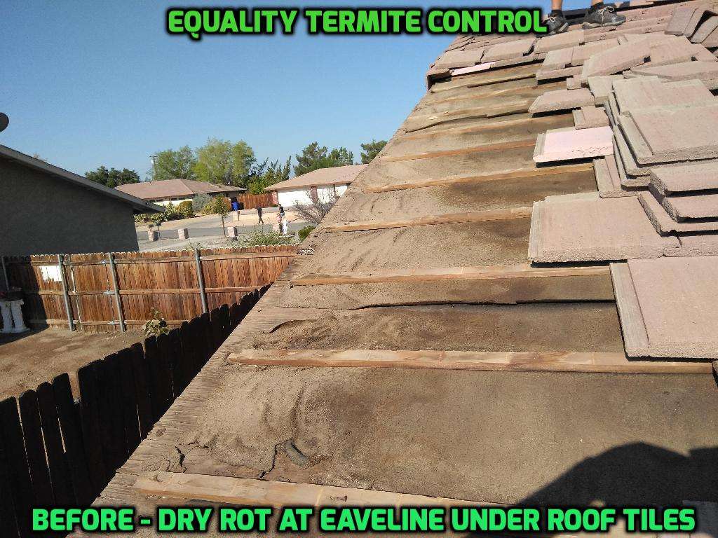 Equality Termite Control | 15460 Wanaque Rd, Apple Valley, CA 92307, USA | Phone: (760) 523-9866