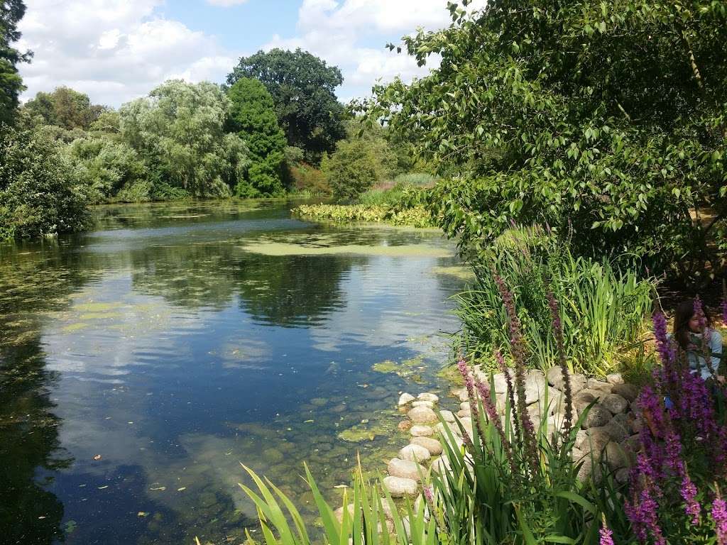 Kew Gardens, Natural Area | Richmond TW9 3AQ, UK