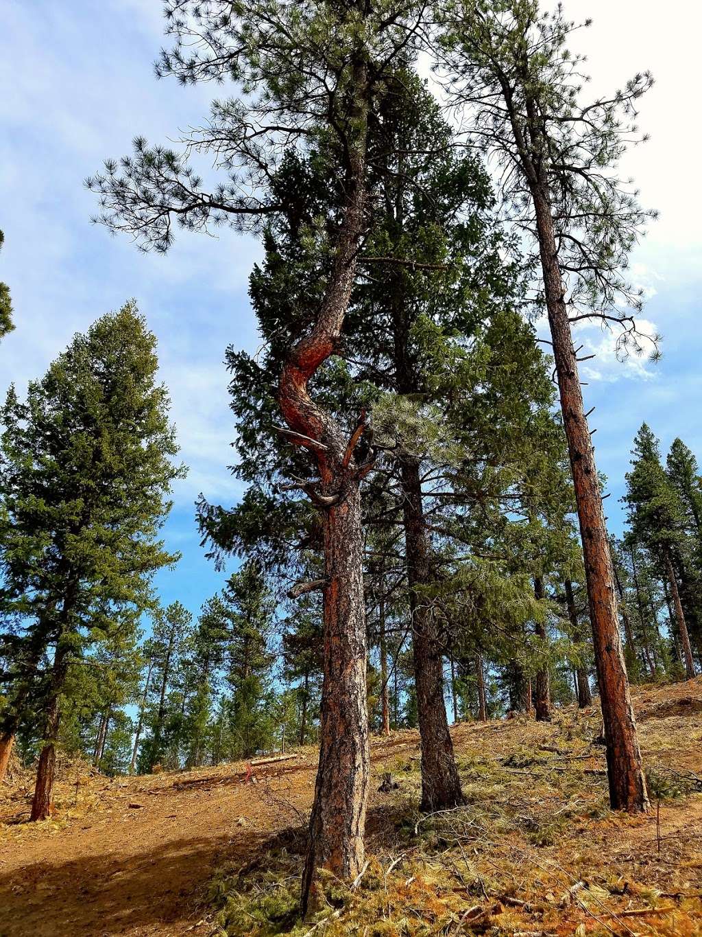 Brookside-McCurdy Trailhead | Bailey, CO 80421, USA