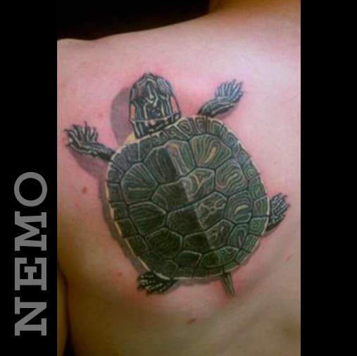 Vivid Skin Tattoo | 3955 W Market St, West Manchester Township, PA 17408, USA | Phone: (717) 843-6101