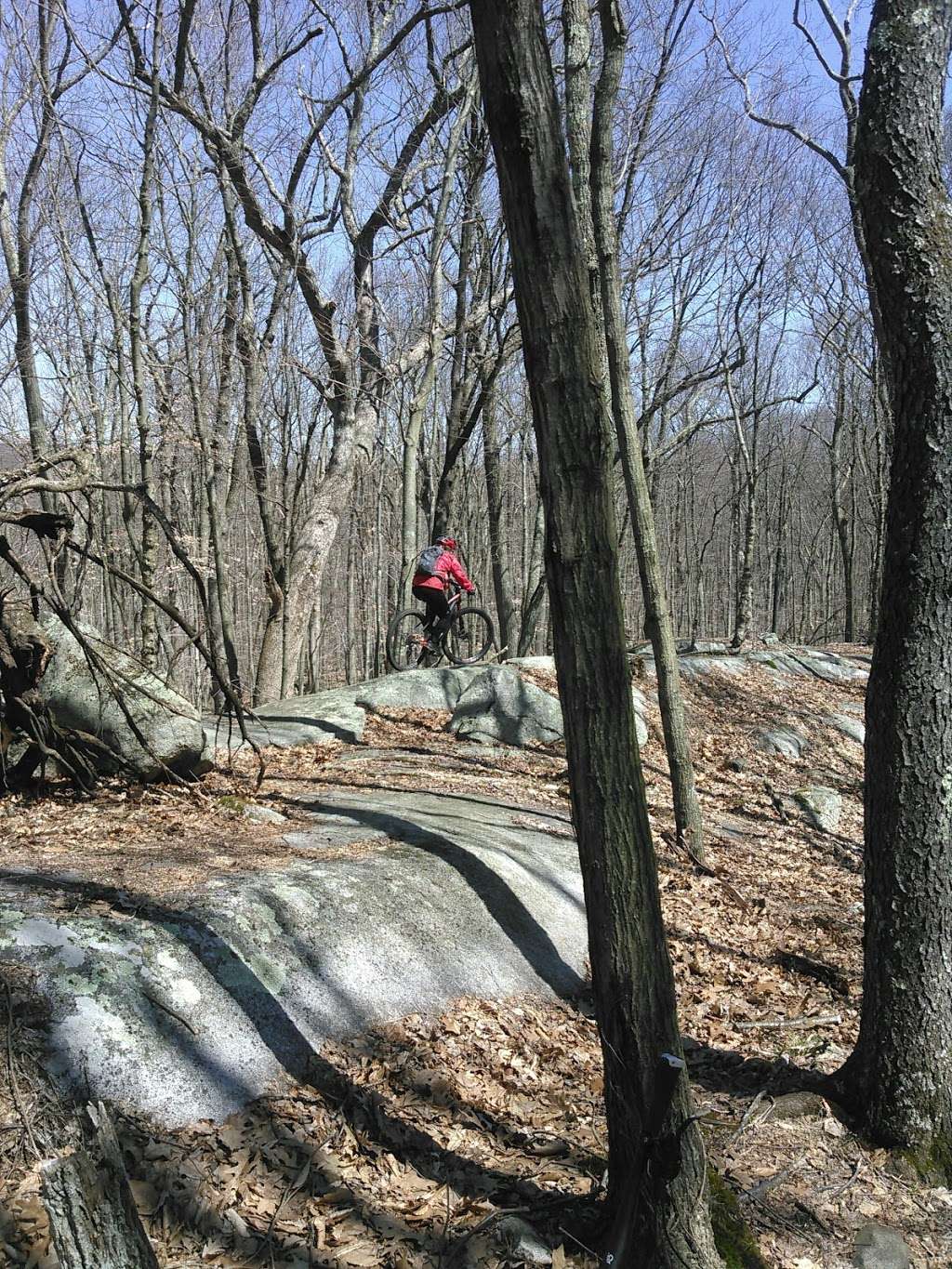 Giant Rock | Mohegan Lake, NY 10547, USA