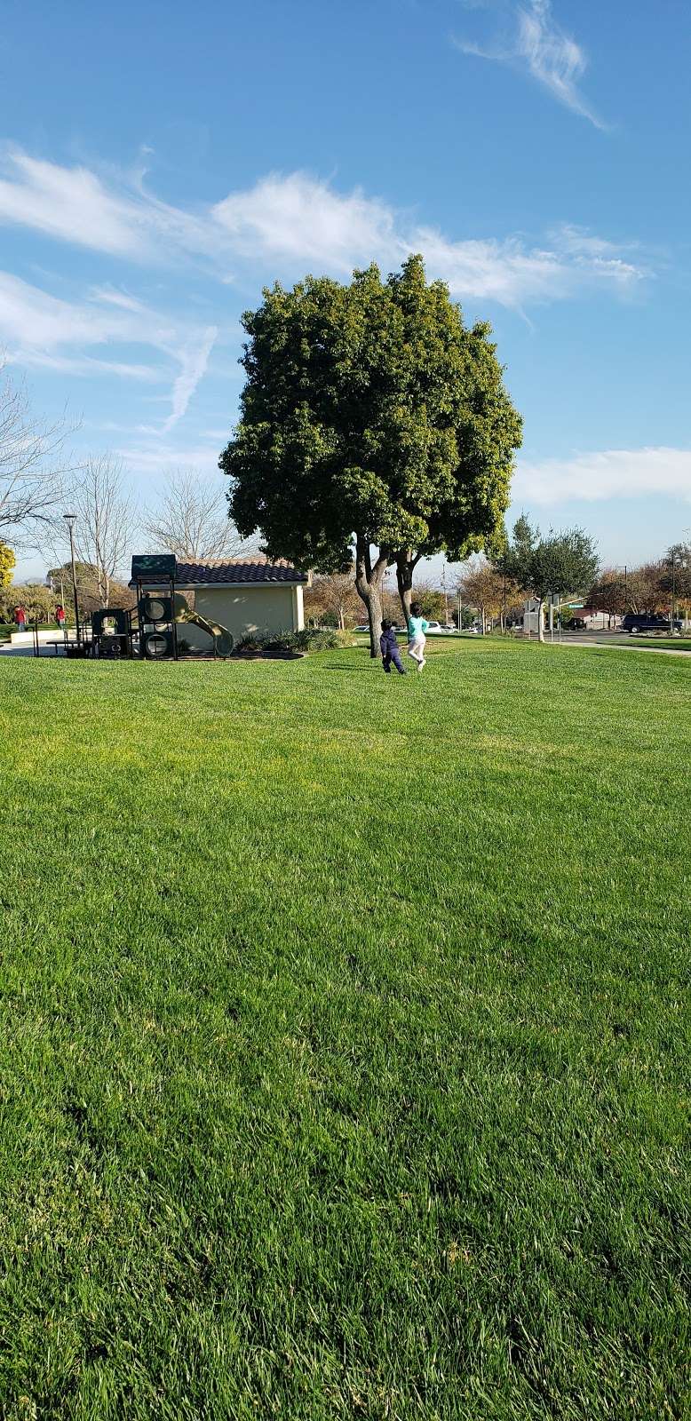 Shannon Park | 11600 Shannon Ave, Dublin, CA 94568, USA | Phone: (925) 556-4500