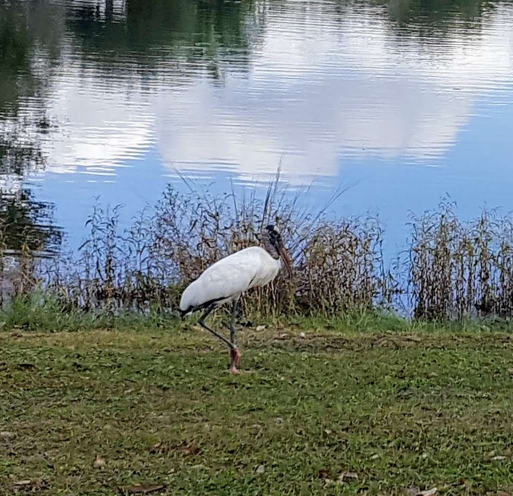 Mulberry Dog Park | 17220 SE 176th Lakeford Ln, Ocklawaha, FL 32179, USA