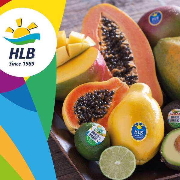 HLB Specialties / HLB Tropical Food | 3327 NW 55th St, Fort Lauderdale, FL 33309 | Phone: (954) 475-8808